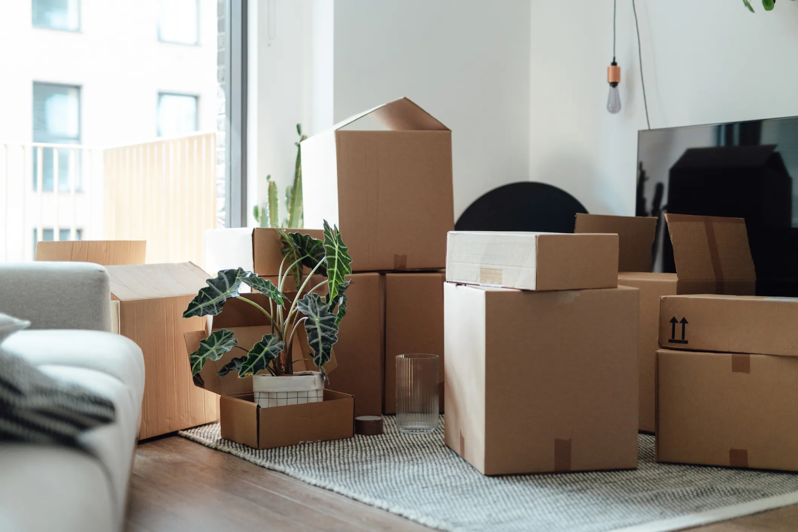 boxes packed for house moving